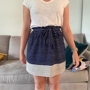 Professional Skirt